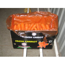 Китайский премиум морковь